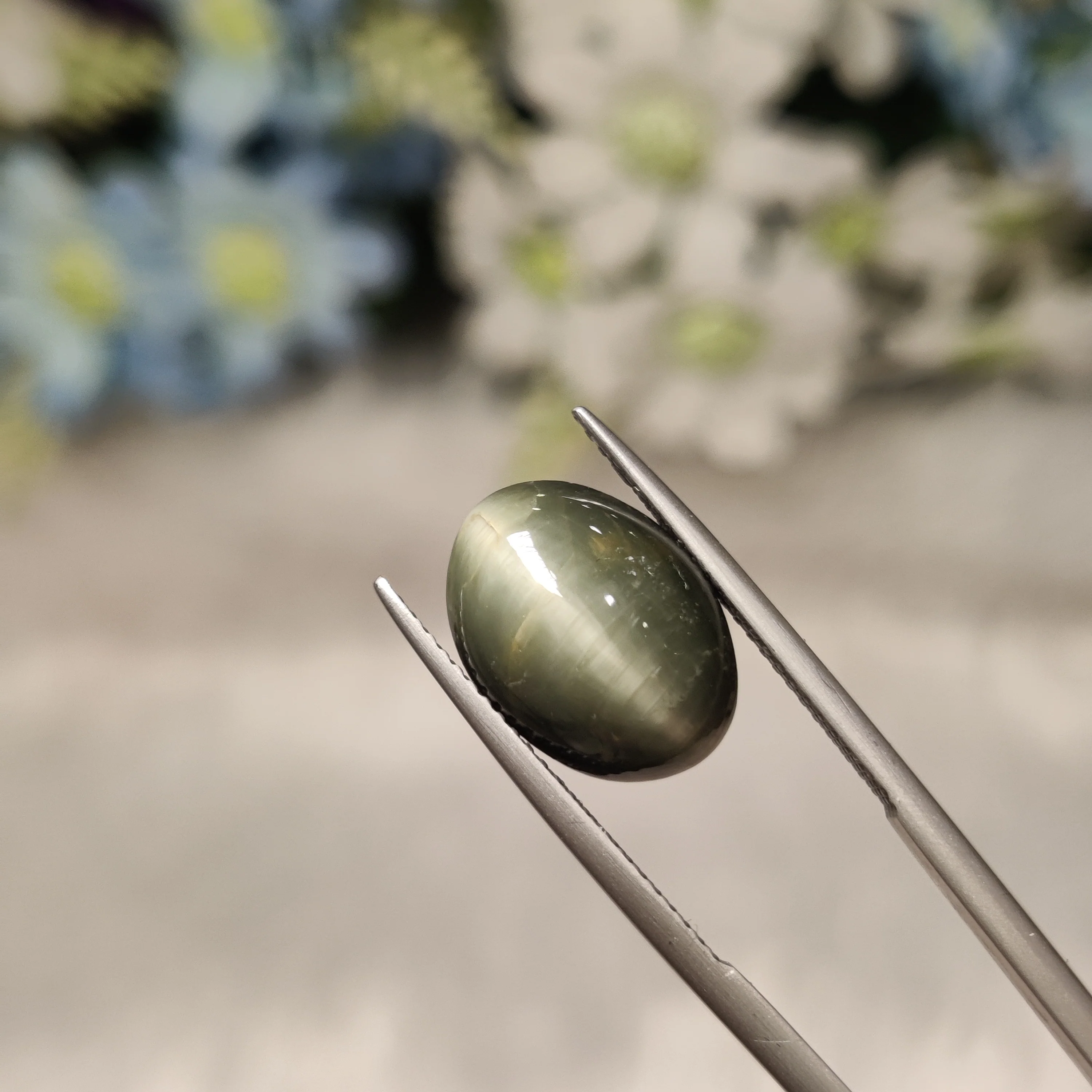 Lehsunia (Cat's Eye) — Gemstones by Laxmi Gold Palace, Kolkata